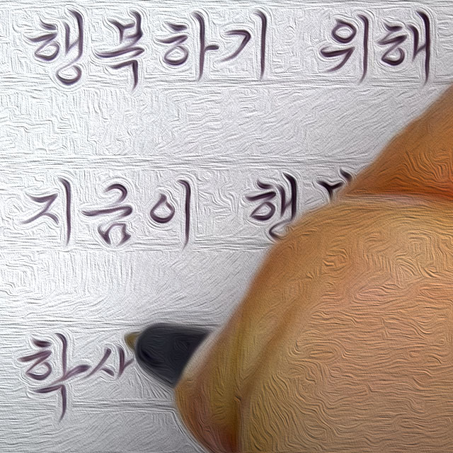 license : youtube capture